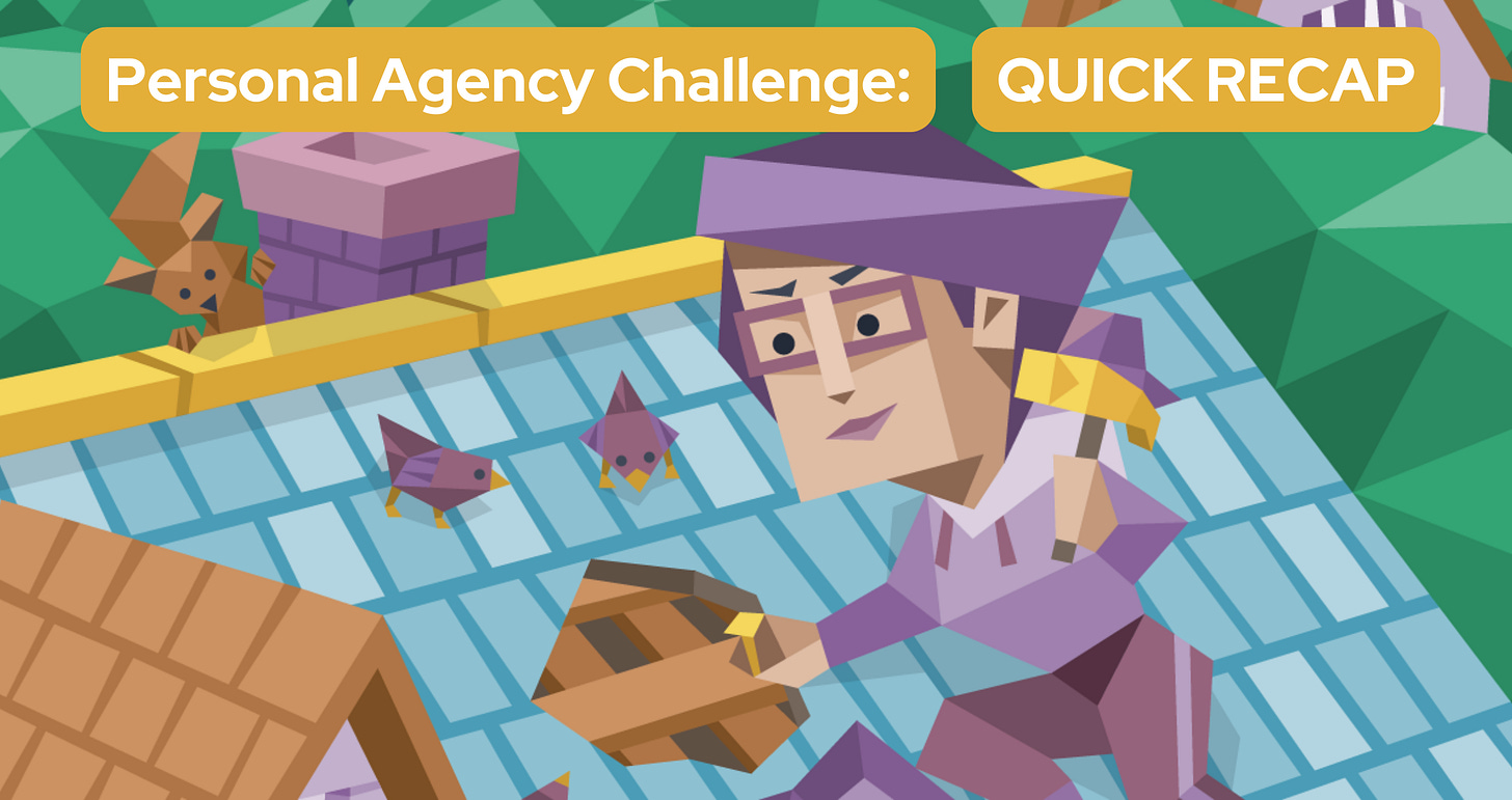 A person repairs the roof of their home all on their own. Two birds and a squirrel stand nearby watching. Text in a yellow banner reads: Personal Agency Challenge: Quick Recap.