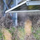 Your Daily Dose of Climate Hope: March 4, 2025