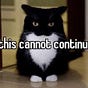 Meow's avatar