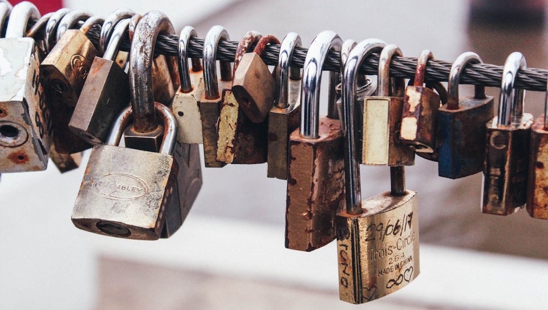 shallow focus photography of padlocks in steel cable shallow focus photography of padlocks in steel cable