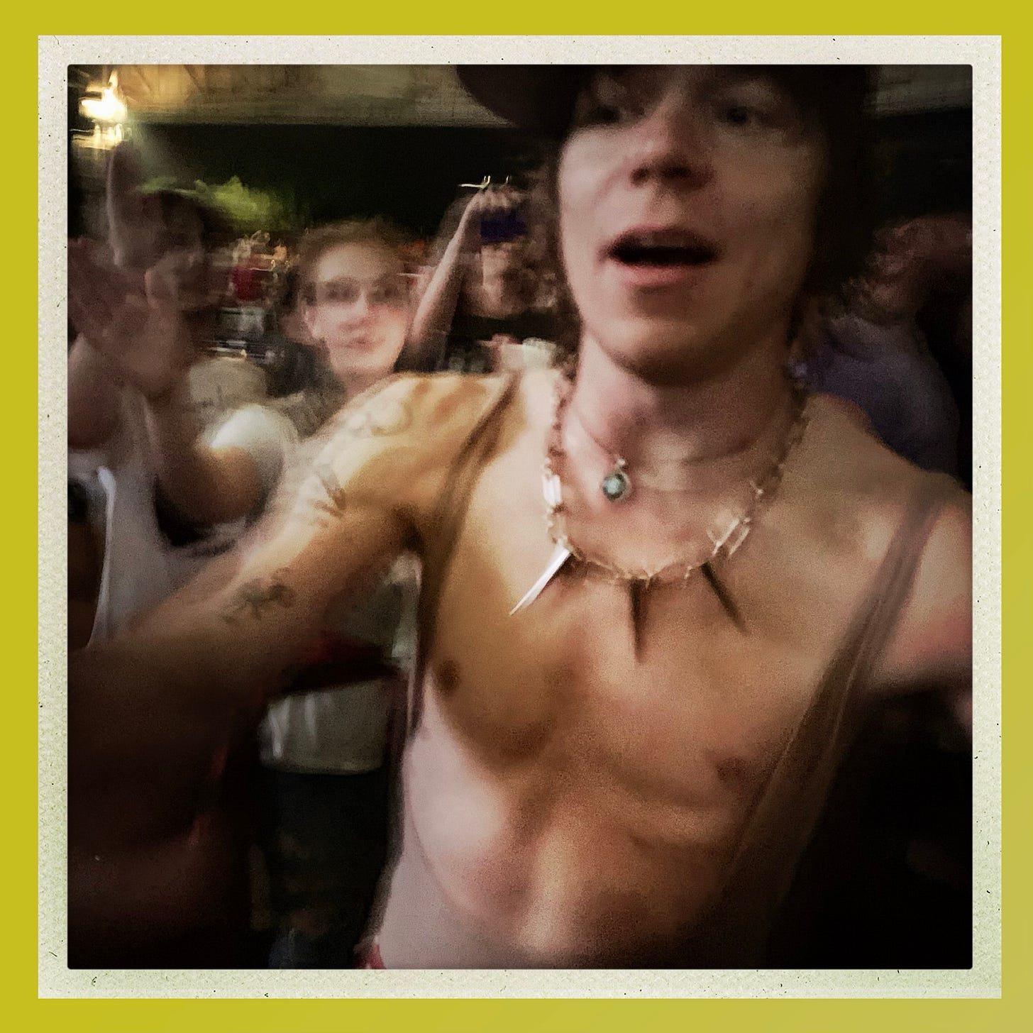 cage the elephant up close