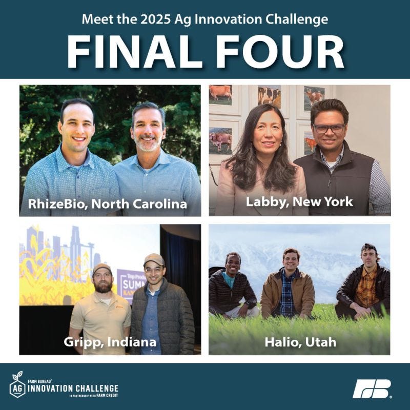 No alternative text description for this image