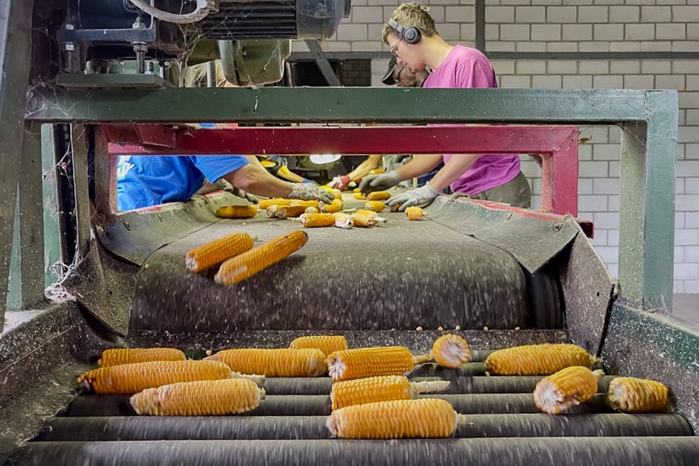 Mais-Verarbeitungszentrum Mais-Verarbeitungszentrum