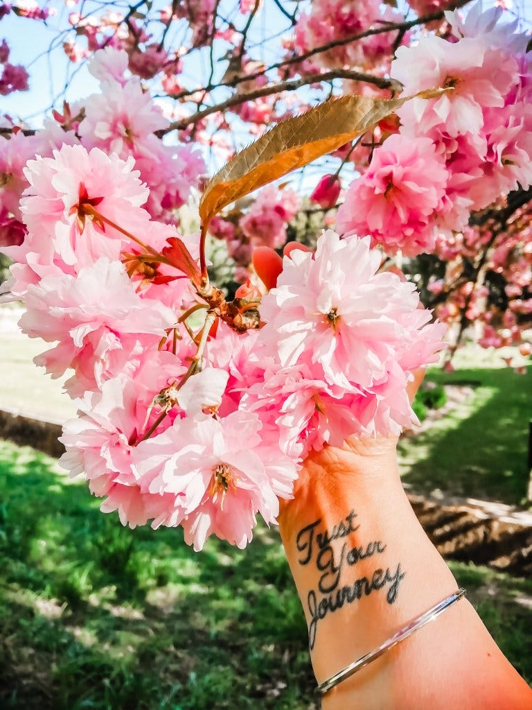 Life Update: Embracing Change, Growth, and a Little Bit of Pink Life Update: Embracing Change, Growth, and a Little Bit of Pink
