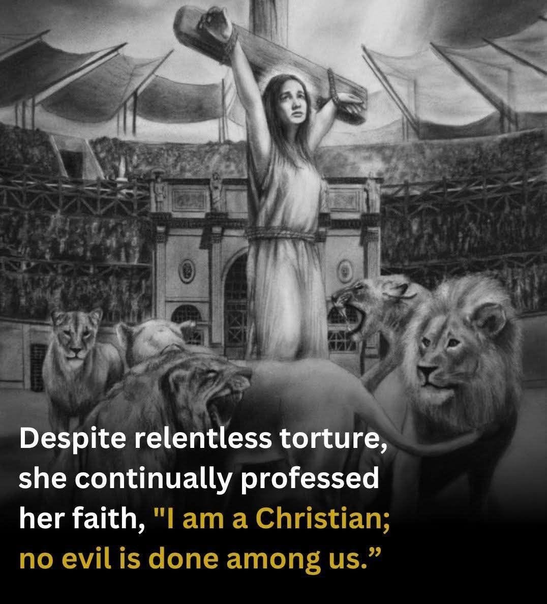 Model Saviour Persecutor The Most Persecuted People Nobody Is Allowed to Defend