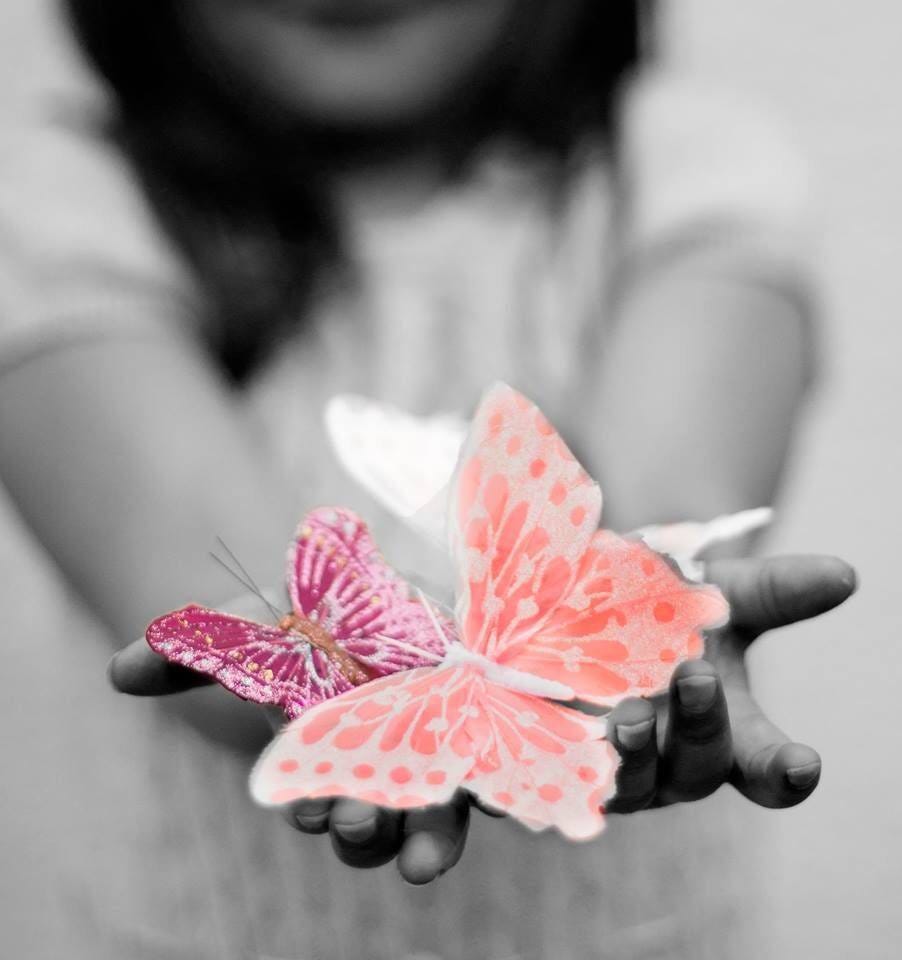 No photo description available.