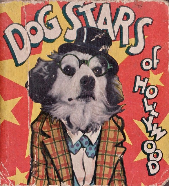 Dog Stars Of Hollywood | Front cover from Dog Stars of Holly ...