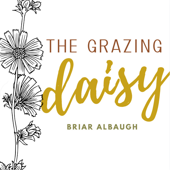 The Grazing Daisy