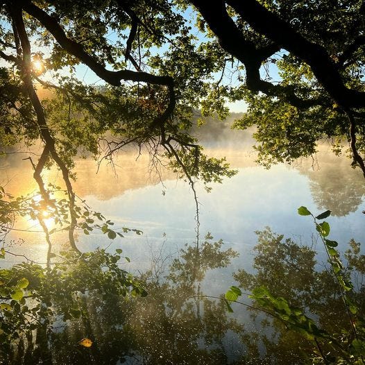 Foto van een dampend meer bij zonsopkomst in Frankrijk
