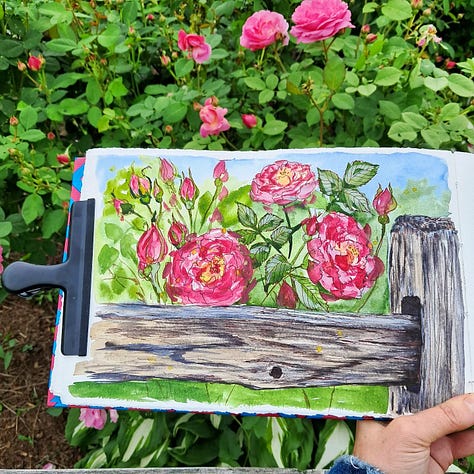 photos from a beautiful farm