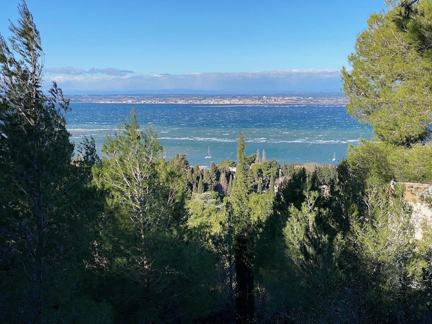 L’étang L’étang