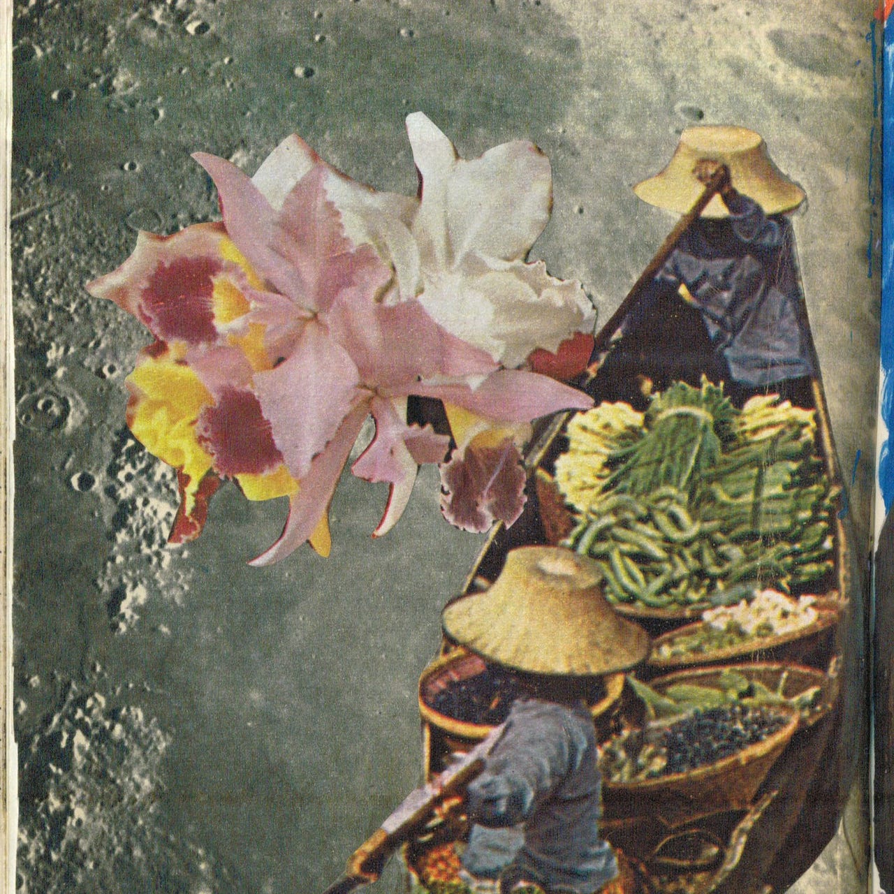 Estética do Possível