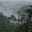cat wanders through mountains's avatar