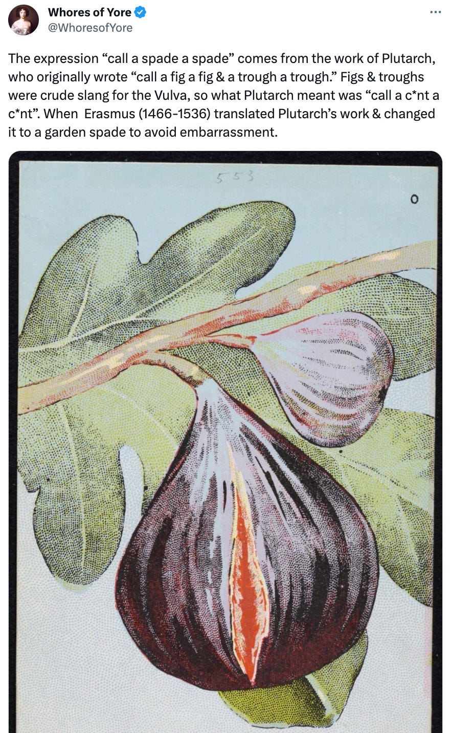See new Tweets Conversation Whores of Yore @WhoresofYore The expression “call a spade a spade” comes from the work of Plutarch, who originally wrote “call a fig a fig & a trough a trough.” Figs & troughs were crude slang for the Vulva, so what Plutarch meant was “call a c*nt a c*nt”. When Erasmus (1466-1536) translated Plutarch’s work & changed it to a garden spade to avoid embarrassment. See new Tweets Conversation Whores of Yore @WhoresofYore The expression “call a spade a spade” comes from the work of Plutarch, who originally wrote “call a fig a fig & a trough a trough.” Figs & troughs were crude slang for the Vulva, so what Plutarch meant was “call a c*nt a c*nt”. When Erasmus (1466-1536) translated Plutarch’s work & changed it to a garden spade to avoid embarrassment.