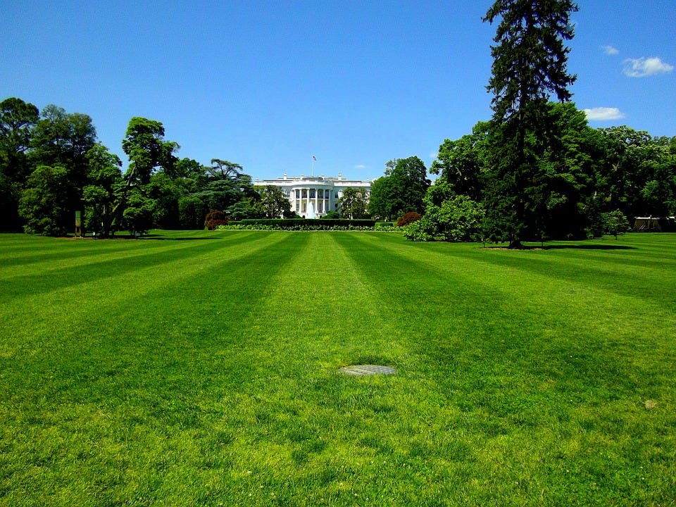 white house free