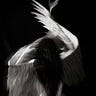 ​☄ سـَــــهـٰــا ✶