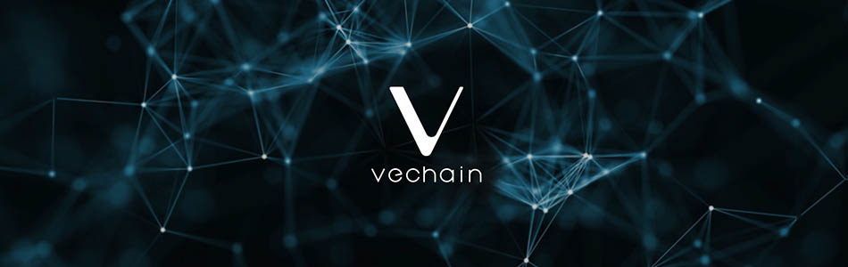 VeChain review y análisis completo VeChain review y análisis completo