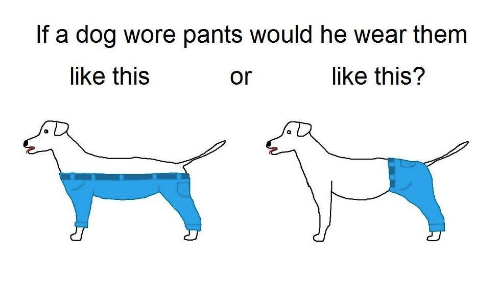 Internet's latest argument: How should a dog wear pants?