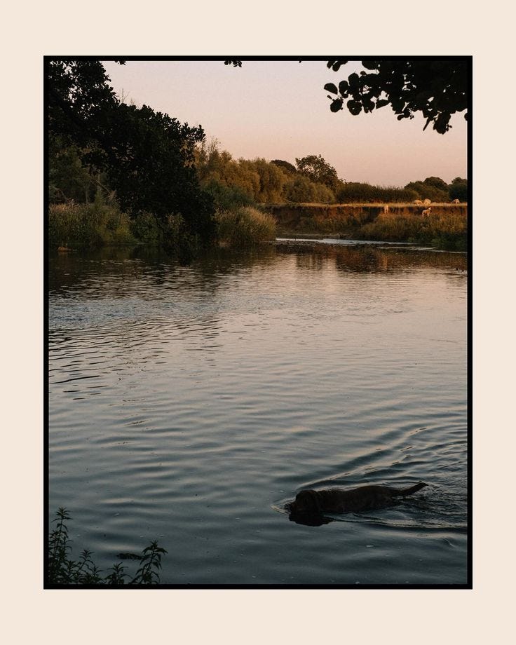 Going into the weekend like… 

This beautiful swim with @oliviakatewainwright and @myderbyshirelife a few weeks ago. A full moon swim late one very hot evening. 40 mins in the water bobbing around and putting the world to rights. So fortunate to live in this beautiful place and get to hang and work with wonderful people ✨ Counting my stars! 

Have a beautiful weekend all ❤️