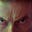 Gide Wilder's avatar