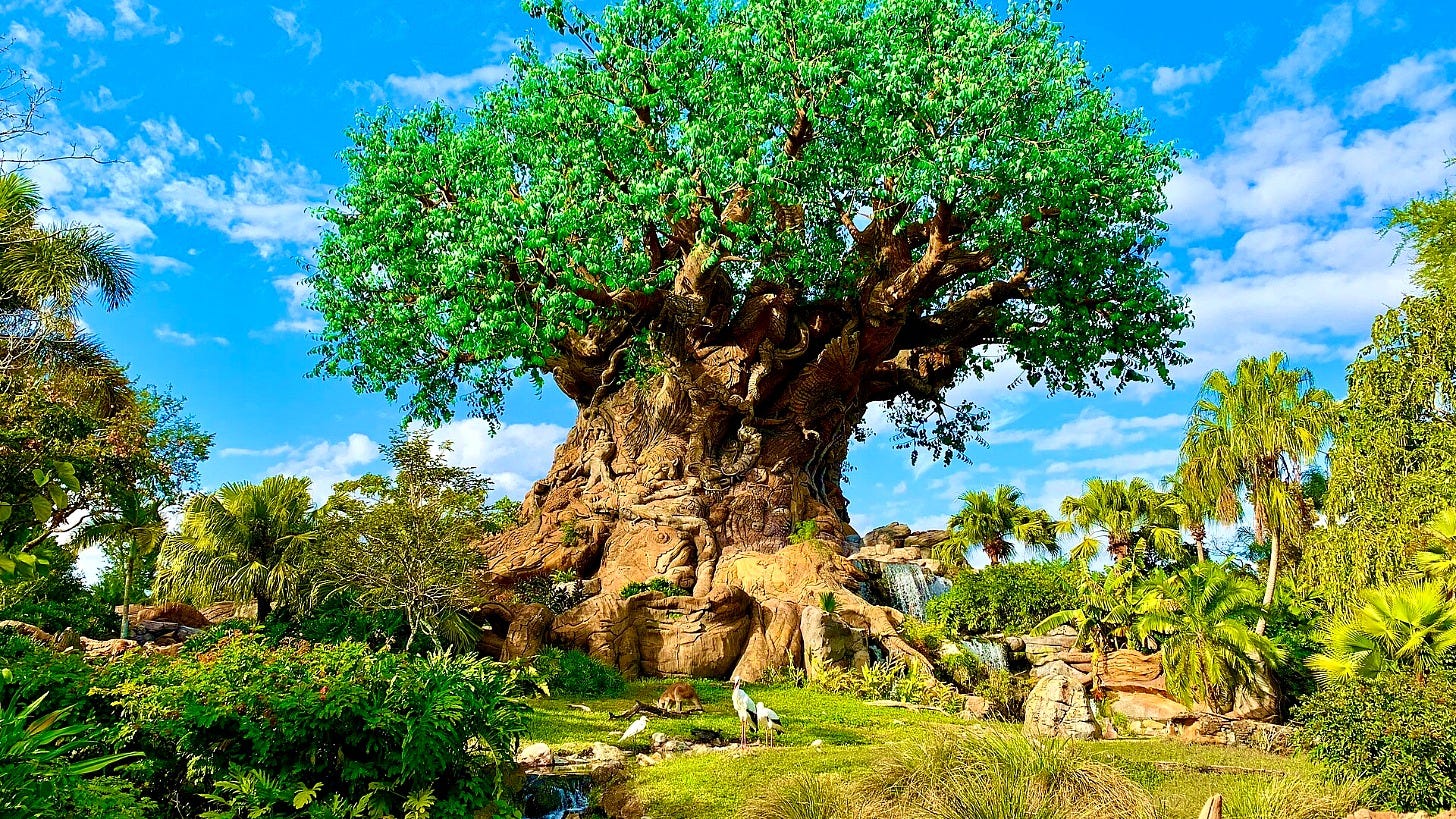The Tree of Life at Disney's Animal Kingdom. Image: Jedi94 via Wikimedia Commons
