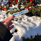 Lo que trajo la nieve