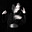 Leticia's avatar
