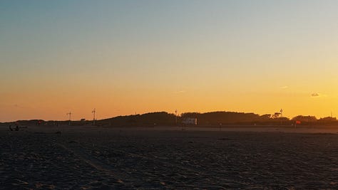 Over the months of summer, light presented itself..