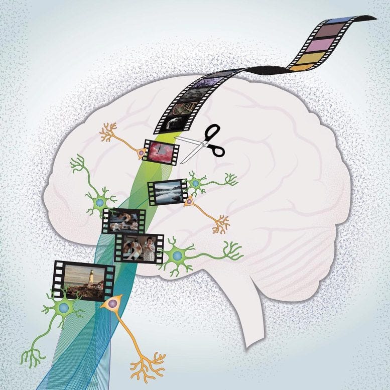 How the Brain Makes Memories and Uses “Time Travel” To Remember