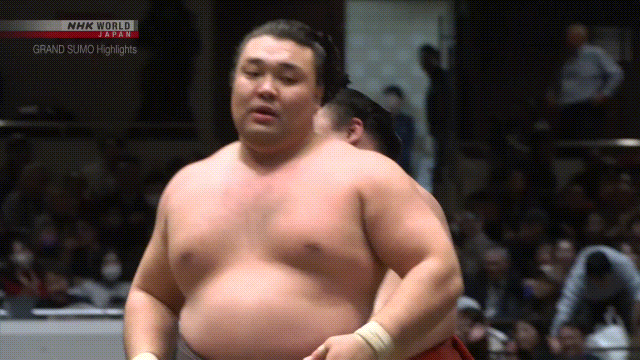 Sumo Stomp! | Tim Bissell | Substack