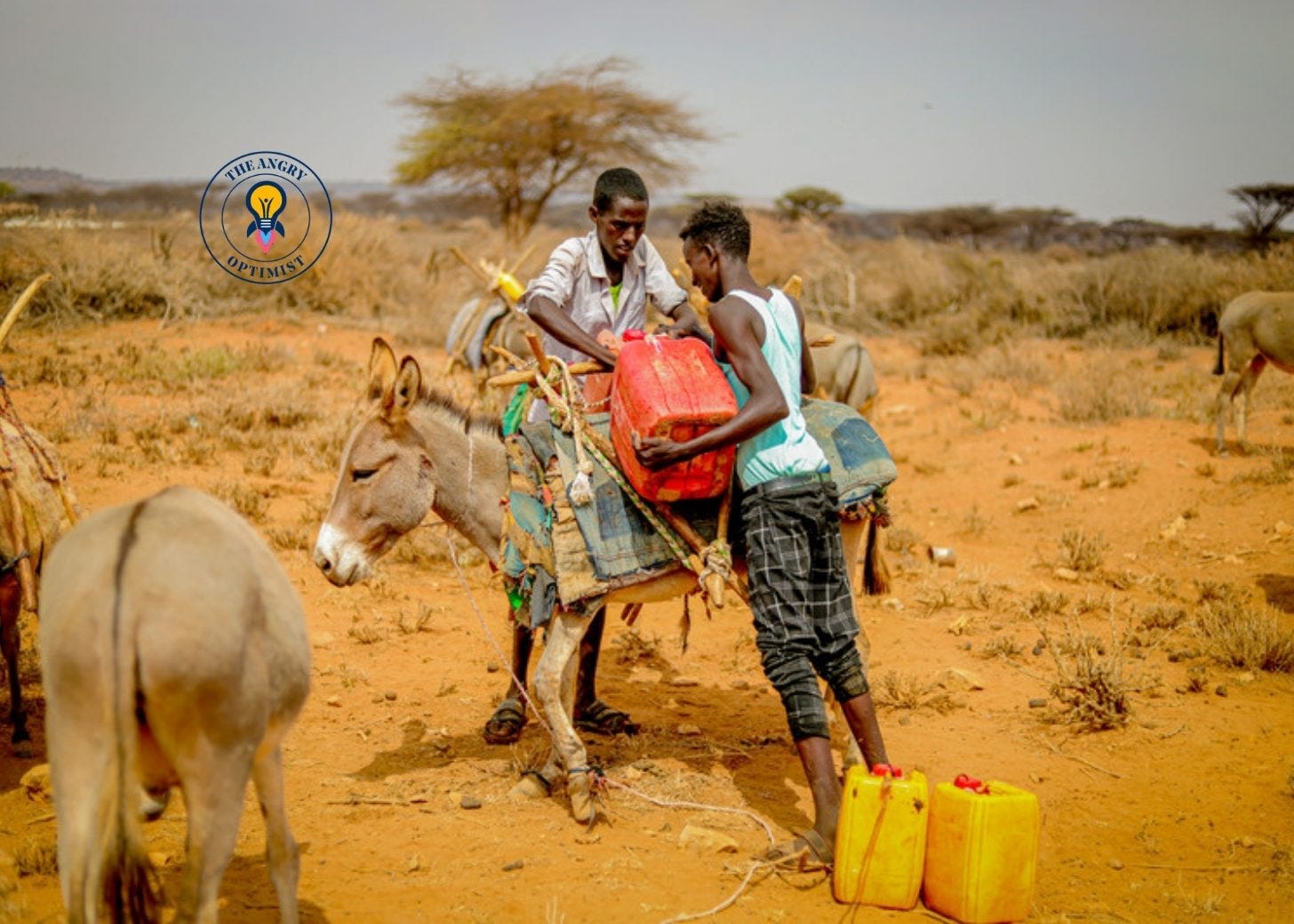 Two men fetching water with donkeys in Somalia Two men fetching water with donkeys in Somalia