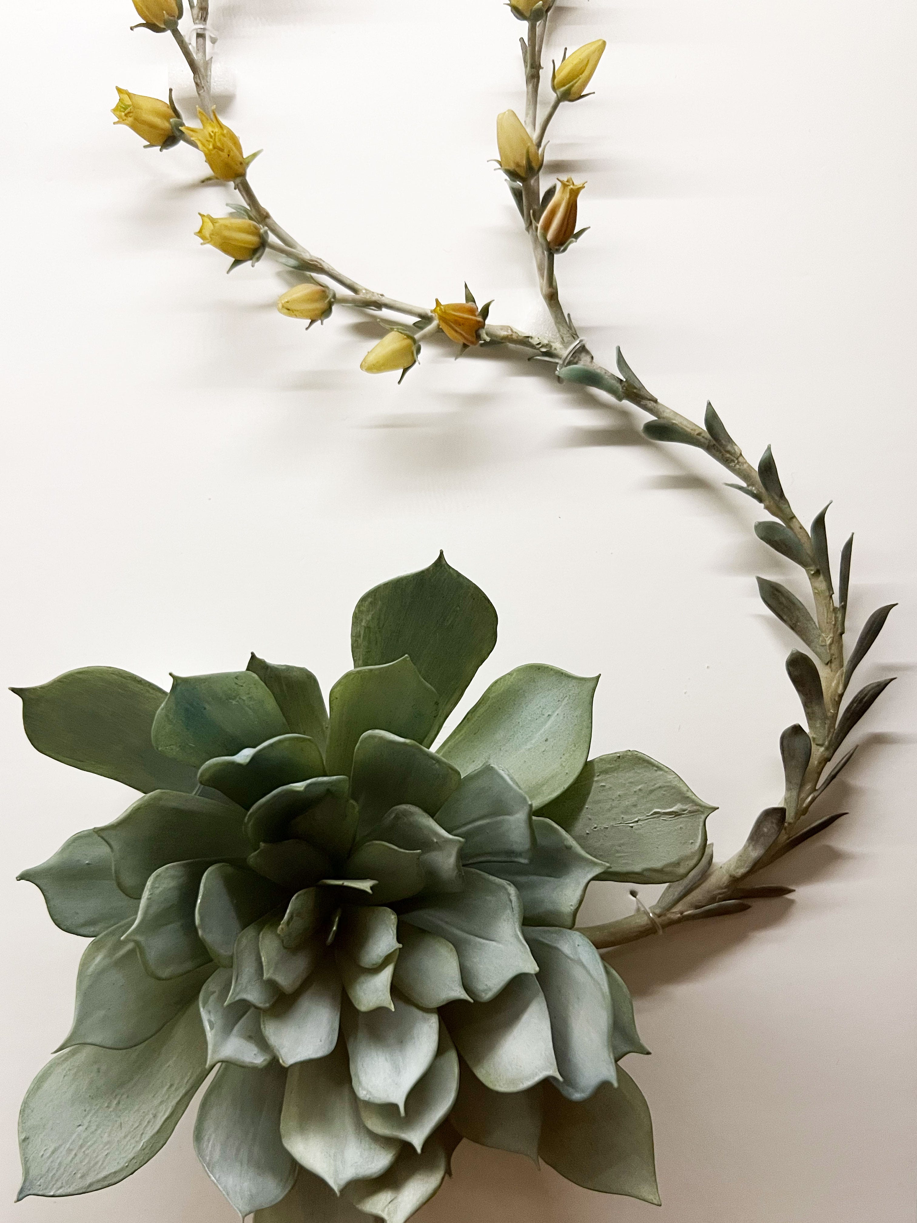 Harvard's Flowers - Ashley Hicks