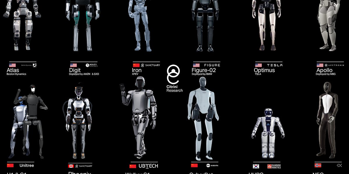 WBSB×HUMAN ROBOT:PANDEAD(Chinchiro) WBSB×HUMAN ROBOT:PANDEAD(Chinchiro) Wbsb Human Robot Pandead