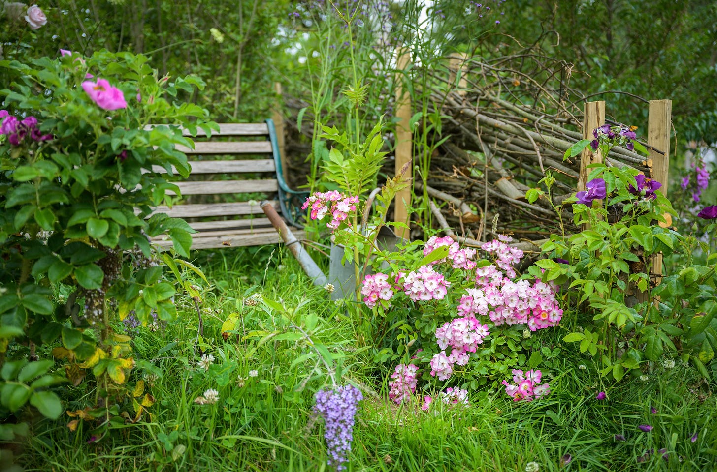 How to garden in March - The Gardening Mind by Jo Thompson