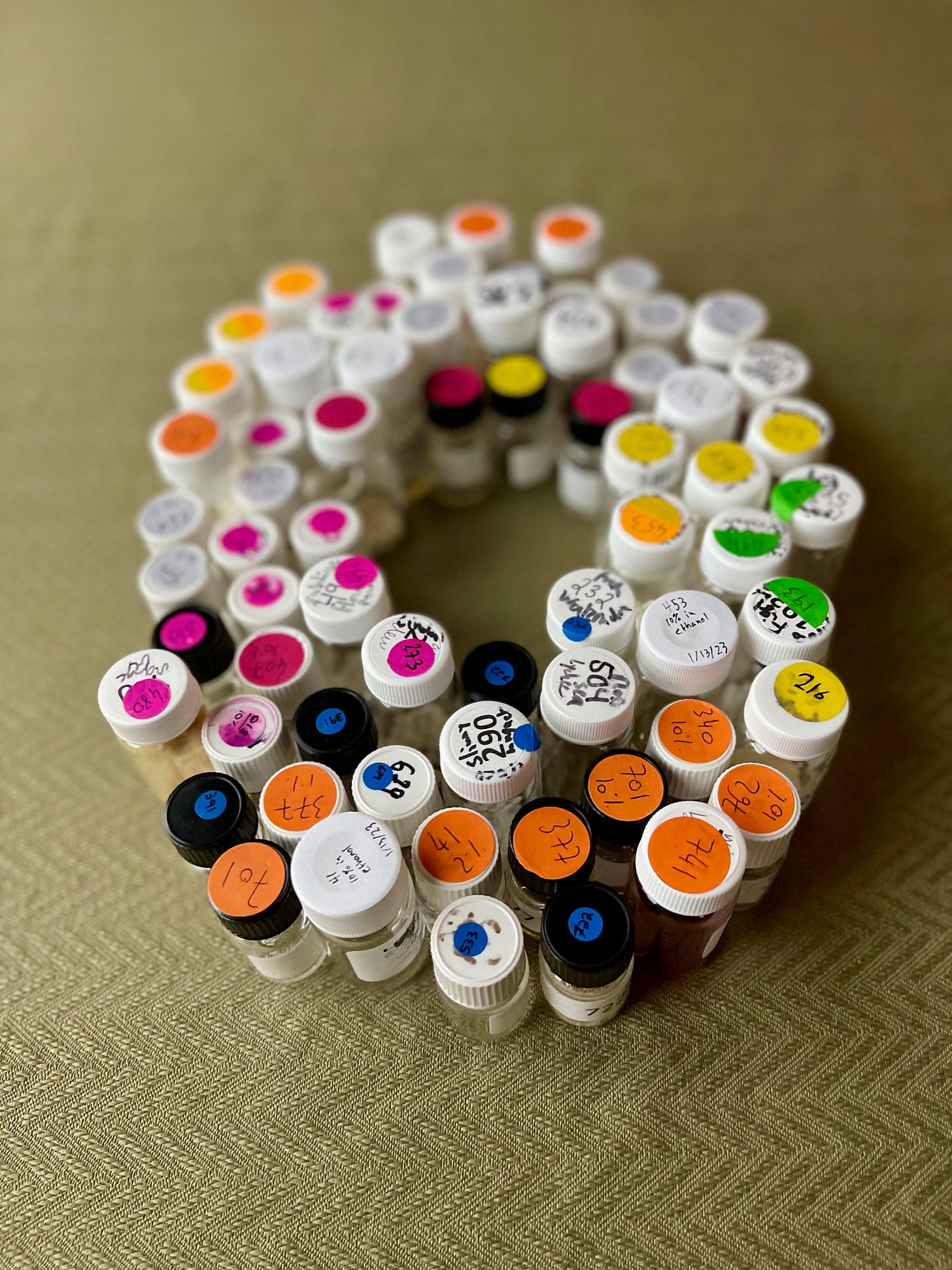 A cavalcade of scents. Photo via Osmo. A cavalcade of scents. Photo via Osmo.