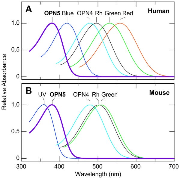 https://storage.googleapis.com/plos-corpus-prod/10.1371/journal.pone.0026388/1/pone.0026388.g005.PNG_M?X-Goog-Algorithm=GOOG4-RSA-SHA256&X-Goog-Credential=wombat-sa%40plos-prod.iam.gserviceaccount.com%2F20230802%2Fauto%2Fstorage%2Fgoog4_request&X-Goog-Date=20230802T174751Z&X-Goog-Expires=86400&X-Goog-SignedHeaders=host&X-Goog-Signature=0423957254501fc2c799c1a0aad12287979b22760299fb07ae783915ba975e295f3ce654707fe095a283dfbad6e628b55f33b4b0230c4d3b1c0dfd1a5e404cd3e2475632ff55b503c028d6b02be99b56158d96f1ce13b7b2b53c024cc6e83bd24e273a966b5f644a1a2920724f0263a46a6584ab91b86c346e17b7dfb3f1ff37a73b3a1552b21c2f287314760e9e3342784a139b4d748ce89a5bbe22ce498525c7347b90ea3b269b732c02f45a41a45ce6fdf6d44c813e9f95a9457a6bd9328de6b9fc97a2cec88dd6c697eb9620c65cad0b94391a570bbeda4d3d2024d605ba5ee46785f1f35209c0012b97853a7320d93de18a263503e62982d2a9c2f7dd5b