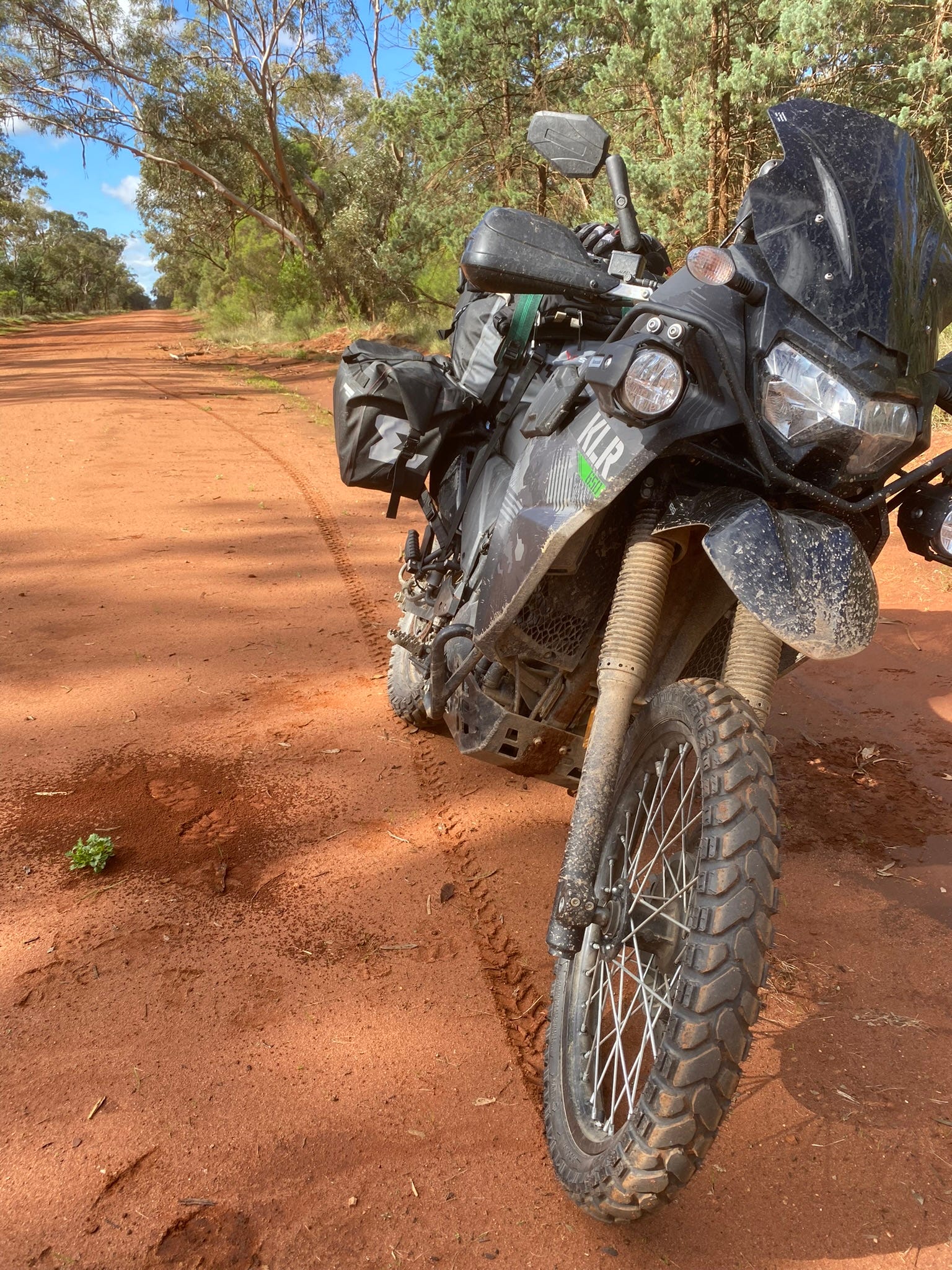 Spurious Intelligence