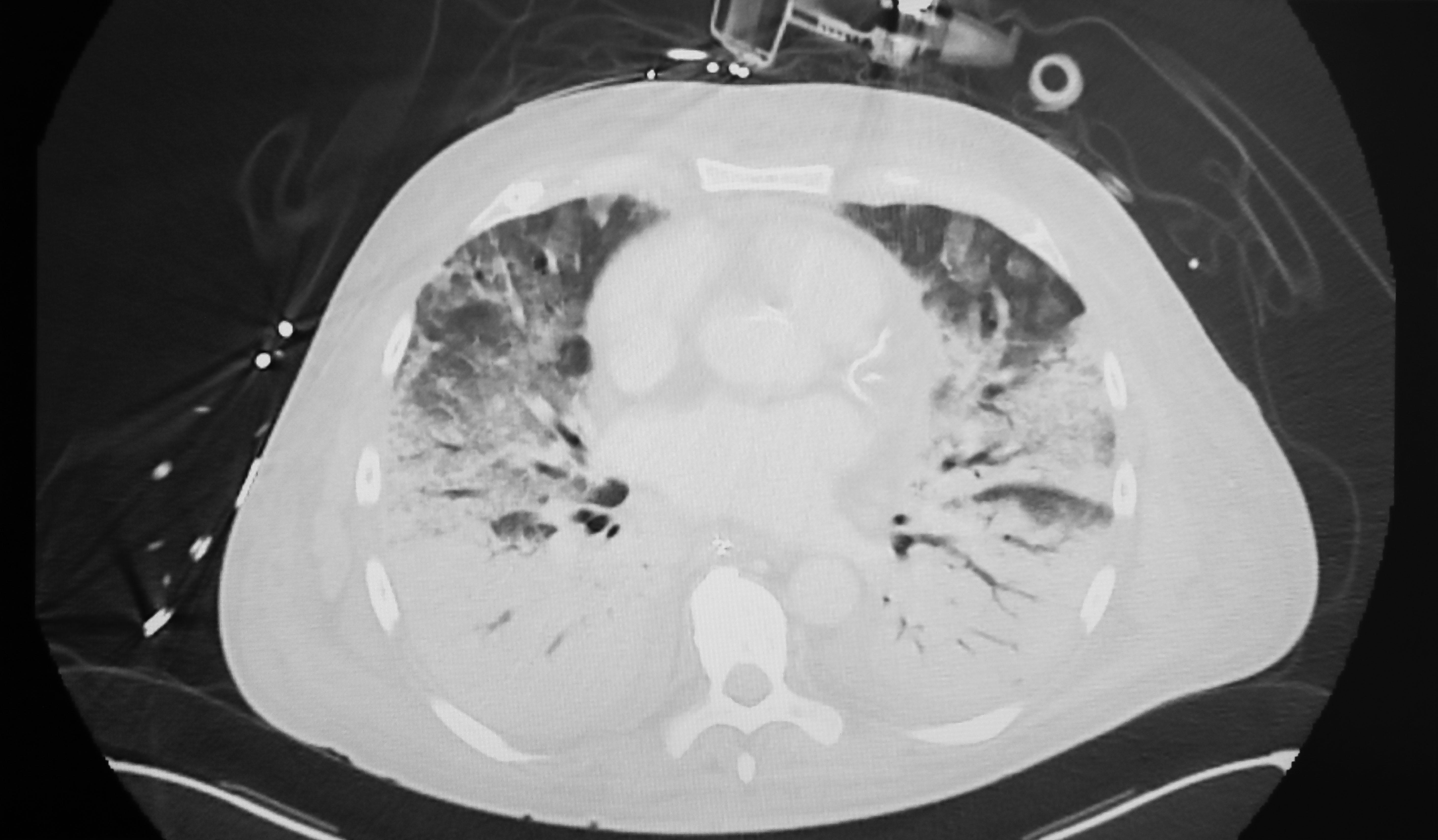 etm様② a9f092ae-eaa7-4a1f-a8ca-