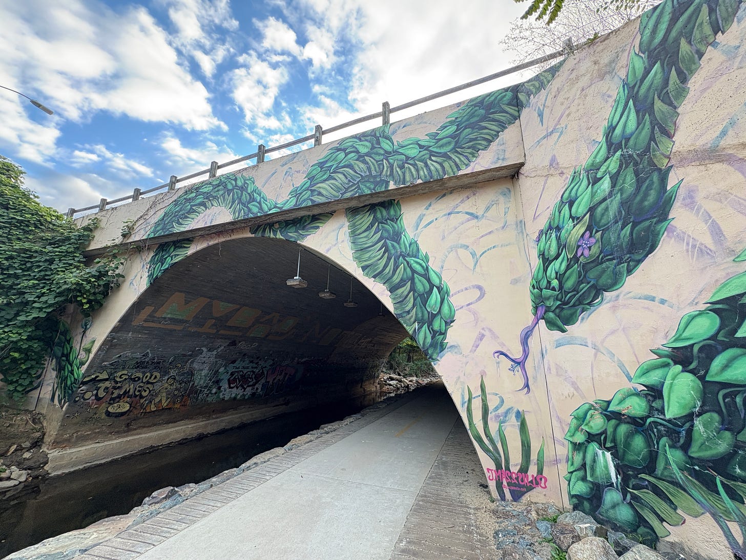 Concrete tunnel with a large painting of a snake made of leaves on it. a sidewalk and stream run through the tunnel.