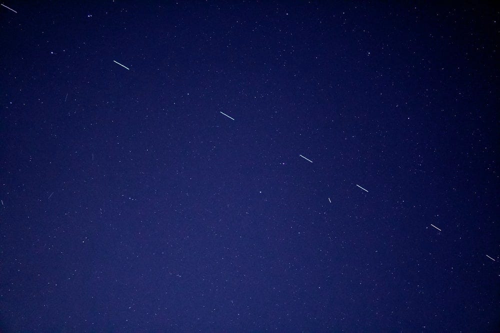 birds flying in the sky during night time