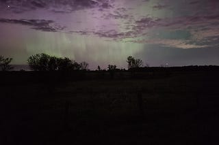 This Grasshopper | Maggie Lloydhauser | Substack