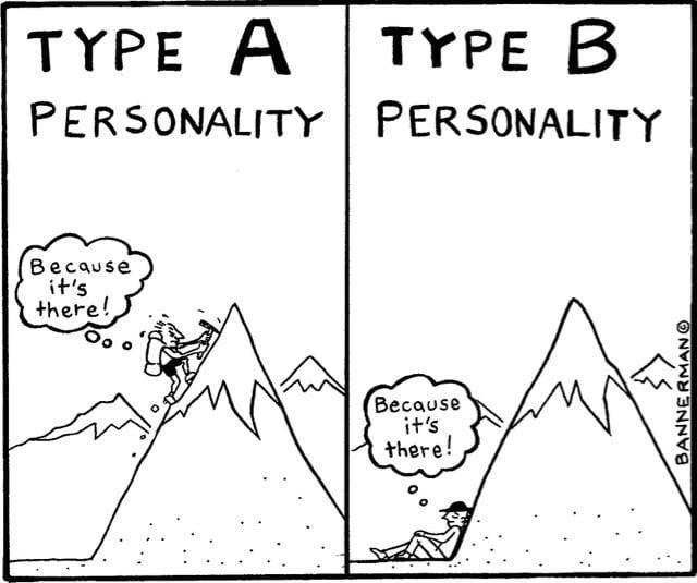 Type A Personality Traits (vs .Type B)