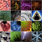 Audio Teaching on Fractal Animism & Pluto