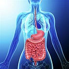 Human Health and Nutrition Part 1