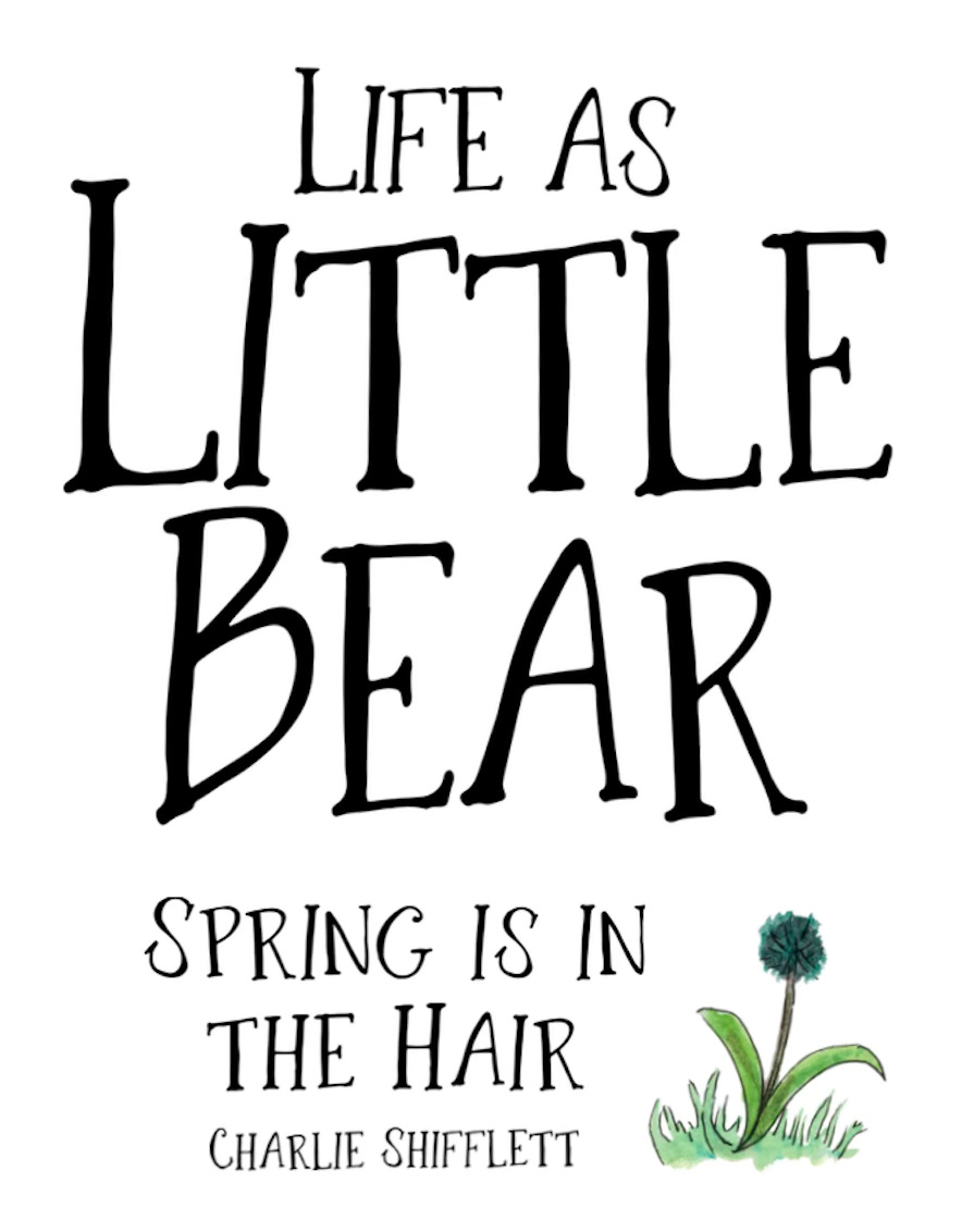 Spring is in the Hair title panel