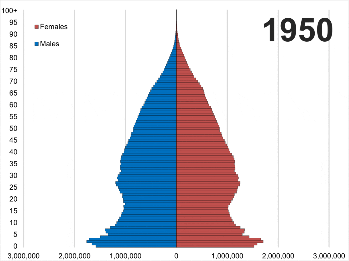 File:United States population pyramid overtime from 1950 to 2020.gif -  Wikimedia Commons