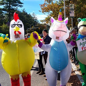 Committed to the Bit