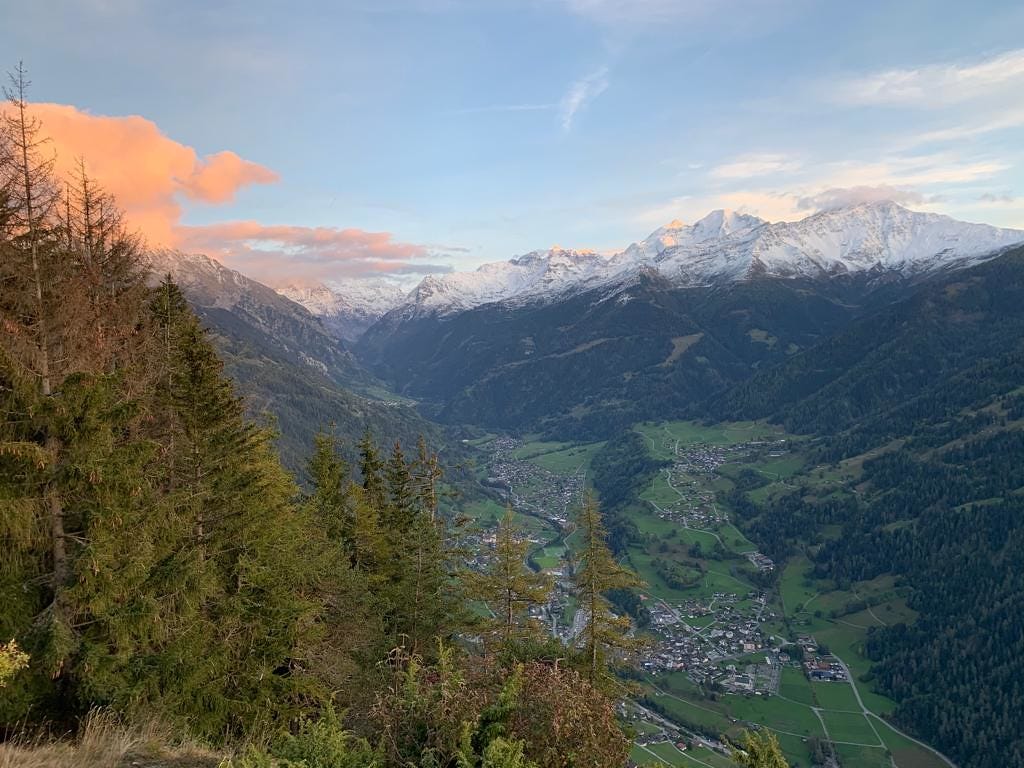 The Swiss Alps at sunset, with snow-capped mountain ranges in the back and trees in the foreground, overlooking a green valley of houses.