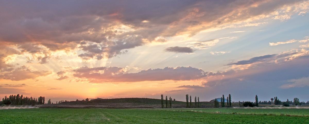 The East Mound of Çatalhöyük at sunrise. Photograph taken by Scott Haddow. The East Mound of Çatalhöyük at sunrise. Photograph taken by Scott Haddow.