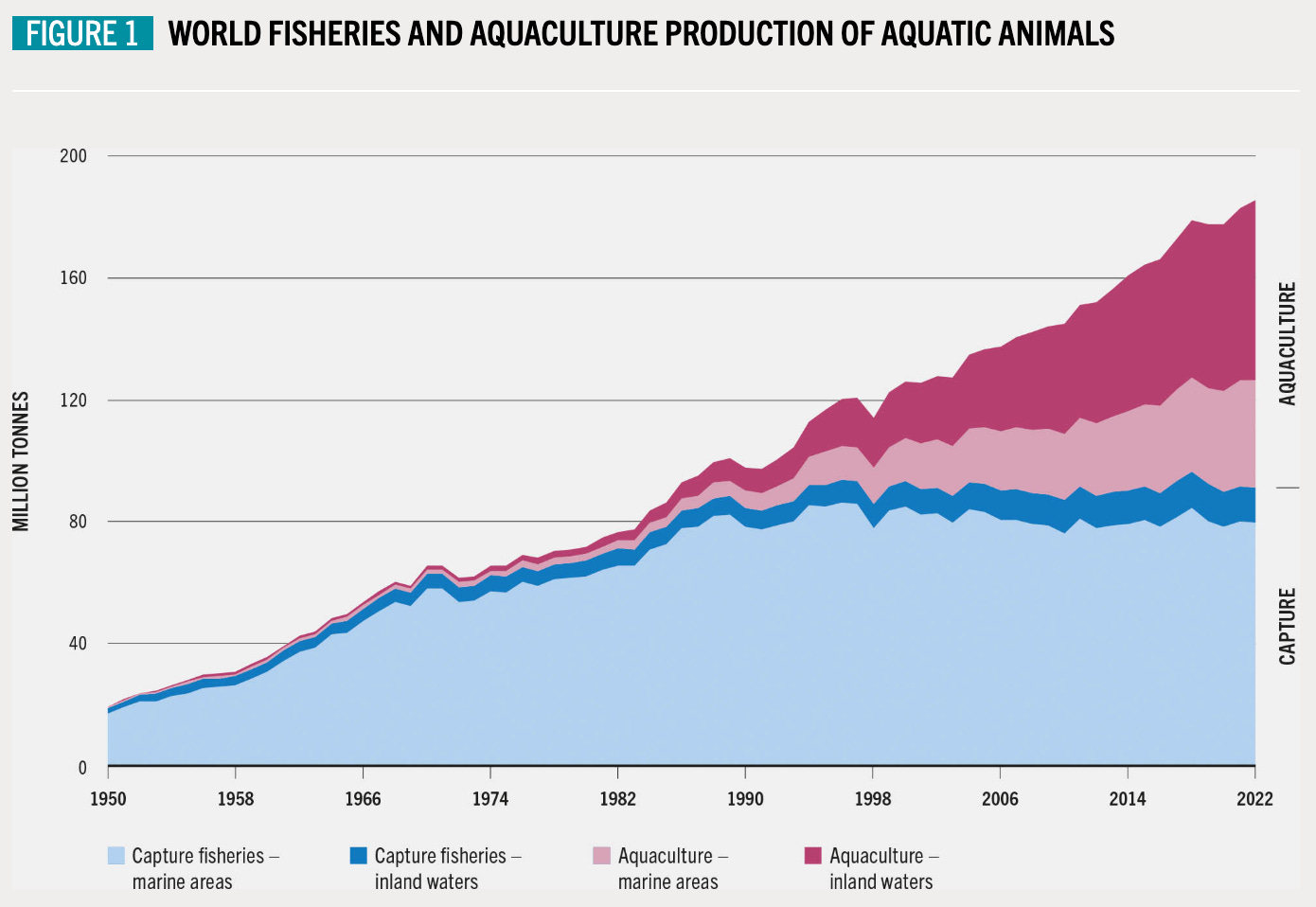 Five insights from farm animal economics - by Martin Gould